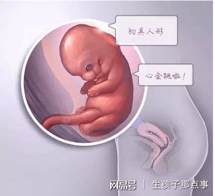 冷冻